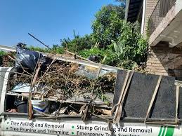 Retail Junk Removal in Golden Shores, AZ